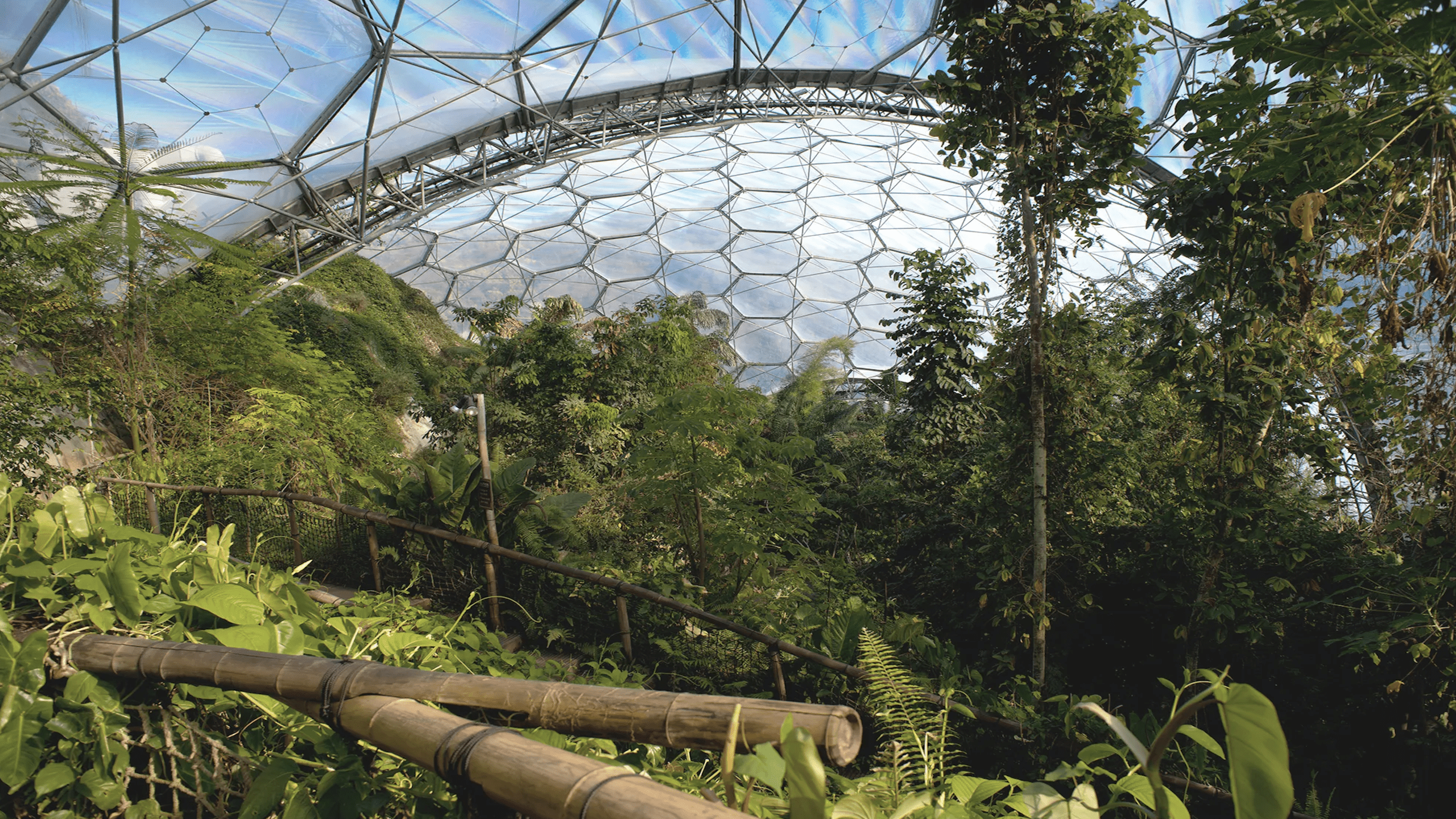 Live from Eden Project, the World’s Largest Indoor Rainforest